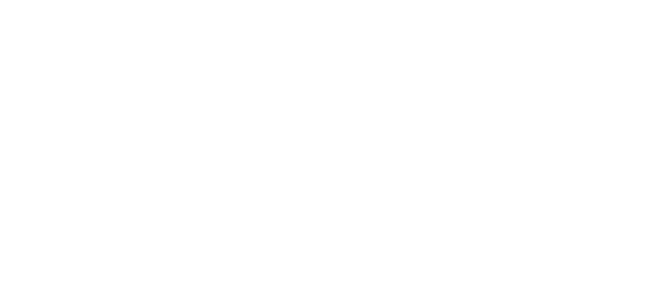 biniasz und partner